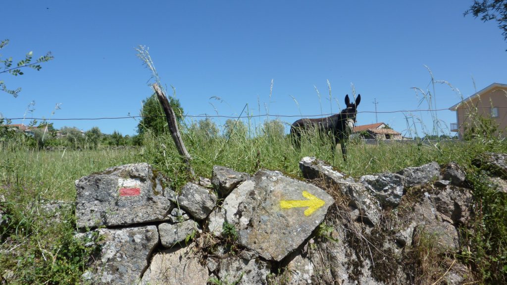 Seta nas pedras de caminho com burros do Caminho Interior de Santiago de Compostela em Vila Pouca de Aguiar