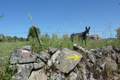 Seta nas pedras de caminho com burros do Caminho Interior de Santiago de Compostela em Vila Pouca de Aguiar